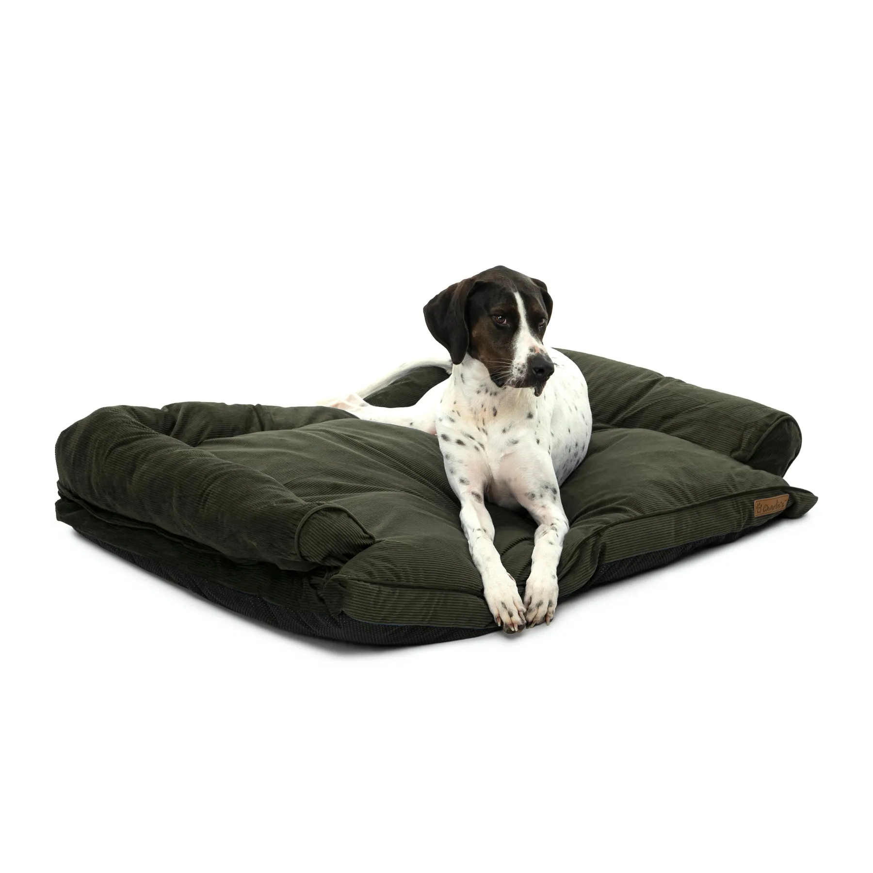 Charlie's Corduroy Dog Sofa Bed Green Medium