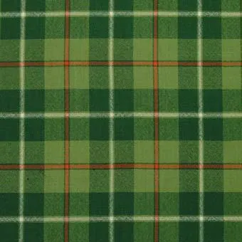 Galloway Hunting Modern Tartan Neck Tie