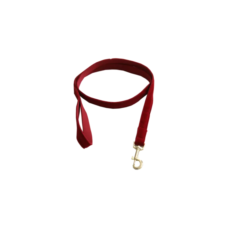 Kentucky dogwear Corduroy lead