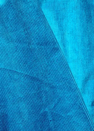 Nehru jacket - corduroy