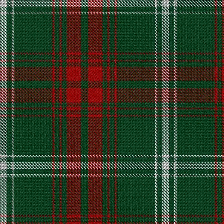 Prince of Wales Modern Tartan Neck Tie
