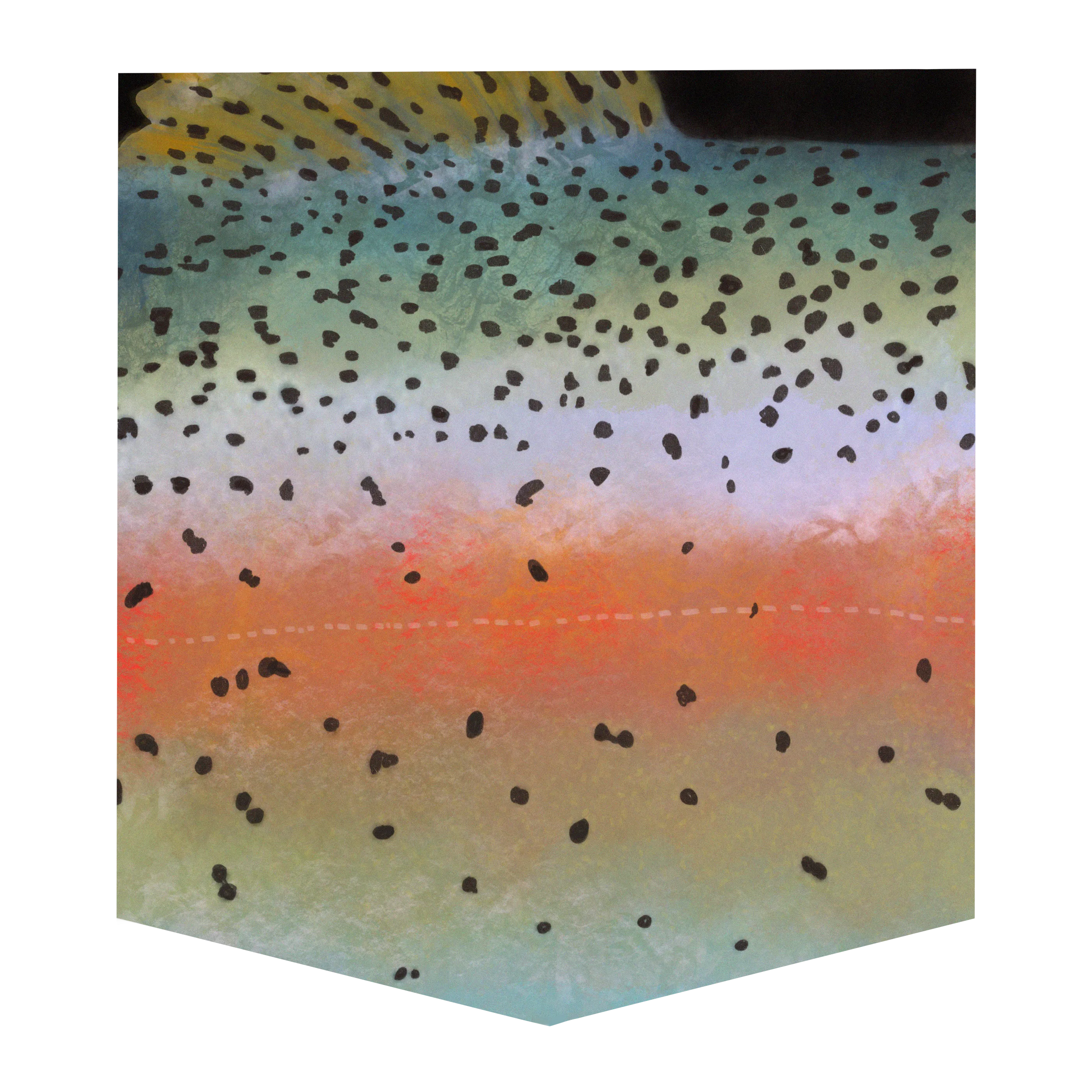 Rainbow Trout Men's Pocket Tee