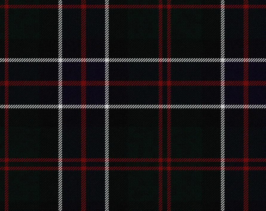 Sinclair Hunting Modern Tartan Neck Tie