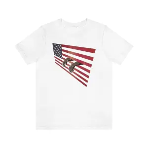 Stars & Bars