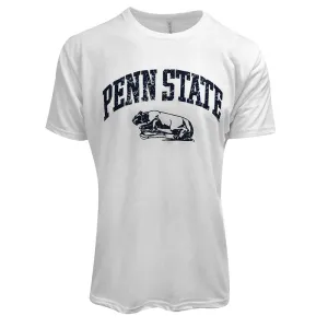 Tri Blend Lion Shrine T-Shirt